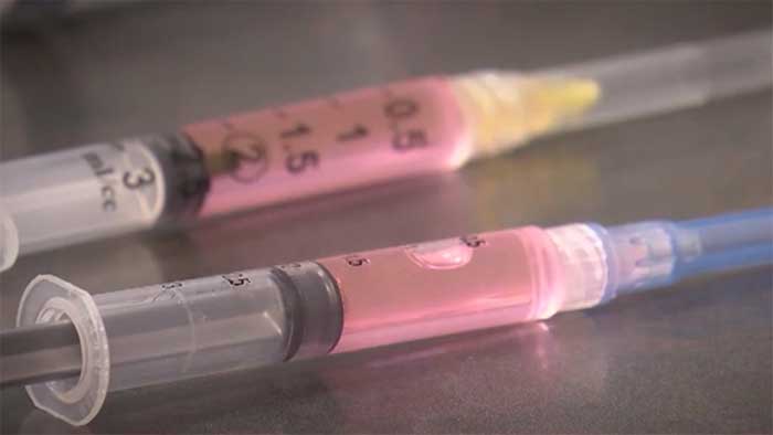 Усыпление(эвтаназия) животных на дому в г. Орехово-Зуево Московской области