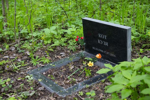 Захоронения животных (собаки, кошкам) в г. Орехово-Зуево Московской области
