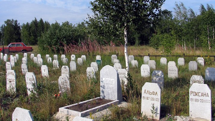 Похоронить животное на официальном кладбище домашних животных в г. Орехово-Зуево Московской области