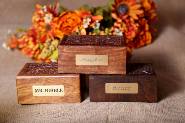 Кремация животных (собак, кошки) в г. Орехово-Зуево Московской области