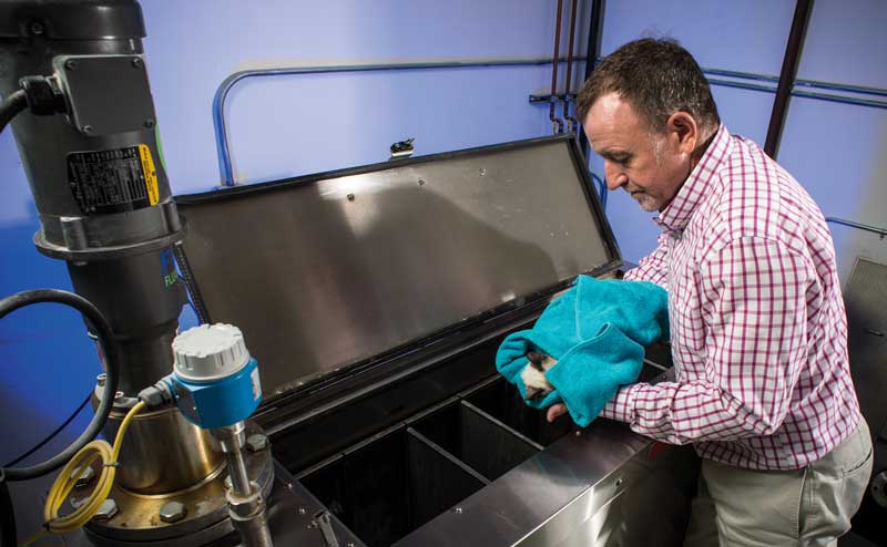 Индивидуальная (частная, персональная) кремация животного (собаки, кошки) городе Орехово-Зуево Московской области