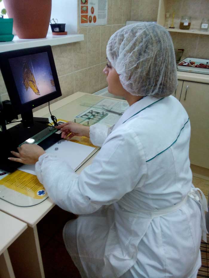 Патологоанатомическое вскрытие животного (собаки, кошки, кролика) в г. Орехово-Зуево Московской области