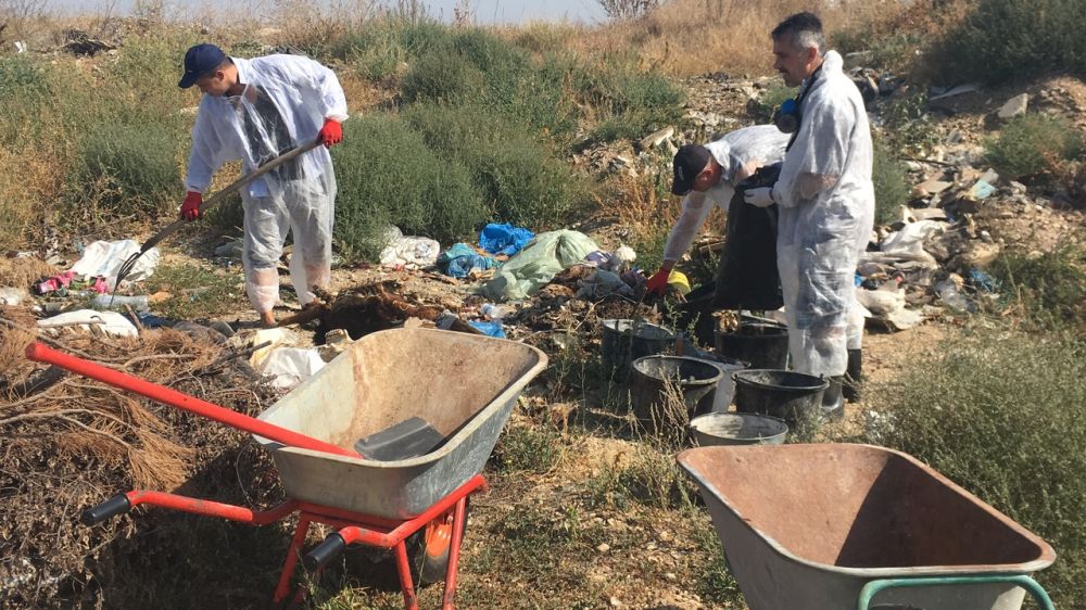 Утилизация биологических отходов животных (трупы собак, кошек) в г. Орехово-Зуево Московской области