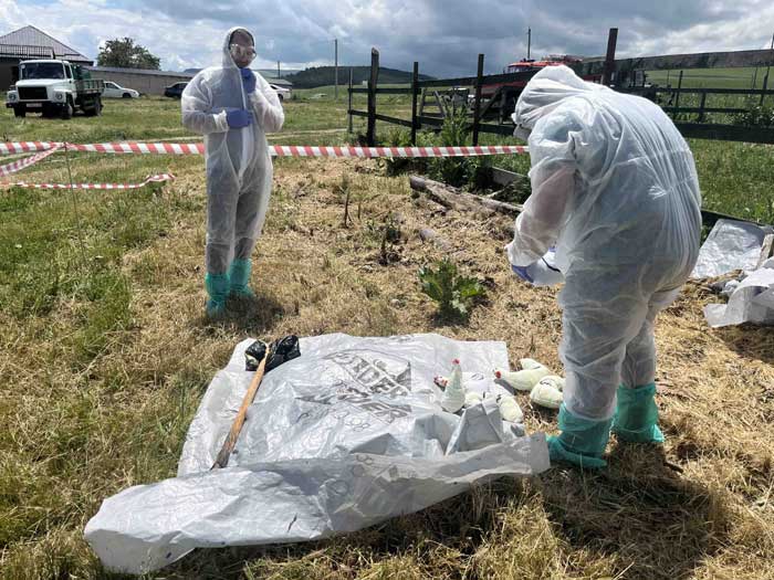 Вывести труп собаки, кошки в г. Орехово-Зуево Московской области