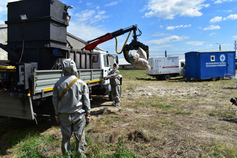 Служба по вывозу трупов животных г. Орехово-Зуево Московской области