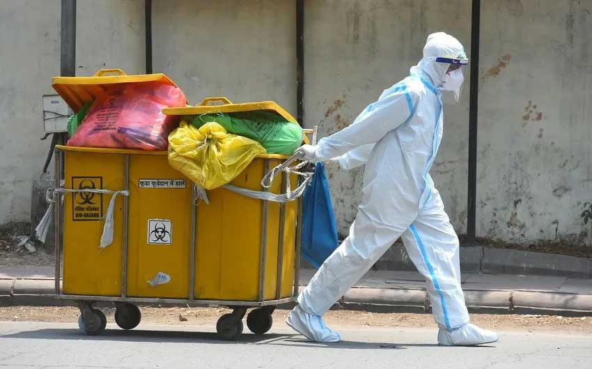 Вывоз труп животного в морг в г. Орехово-Зуево Московской области